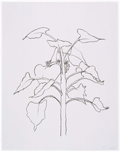 EK95-1398